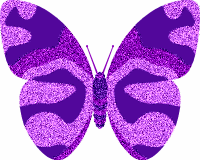 PurpleButterfly Update