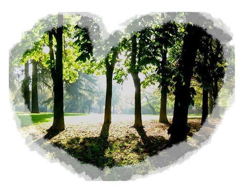 paisajes de amor. paisajes de amortarea