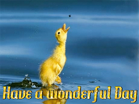 http://sl.glitter-graphics.net/pub/1450/1450311cjrdtdtaiz.gif