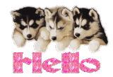1566825cperw61y8w.gif