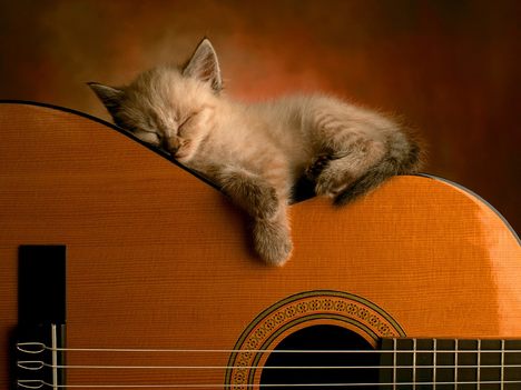 love music love music
