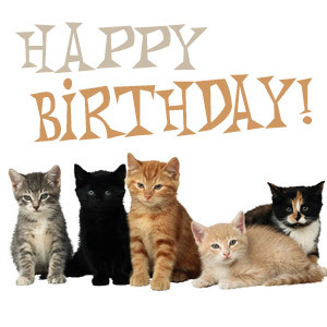 Happy birthday cats