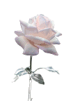 http://sl.glitter-graphics.net/pub/2736/2736323xy8tmpo0hw.gif