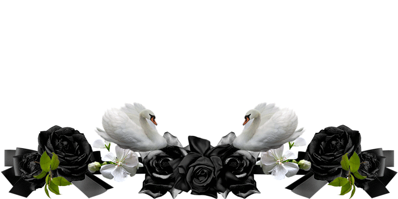 【转载】白底素材 - da_dong32的日志 - 网易博客