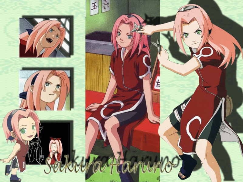 Naruto Characters Sakura