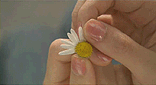 450840fwxfrexnw8.gif