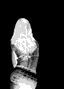 6413jula42irnh.gif