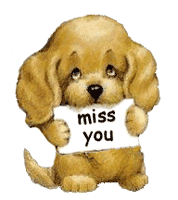 dog miss you
